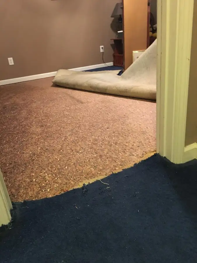 Carpet pad removal revealing water damage during Drying & Dehumidification in Ilchester